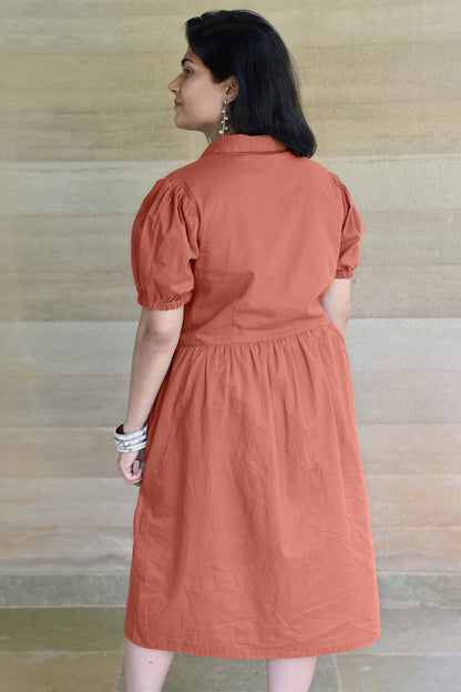 Collared Fine Cotton Brown Dress